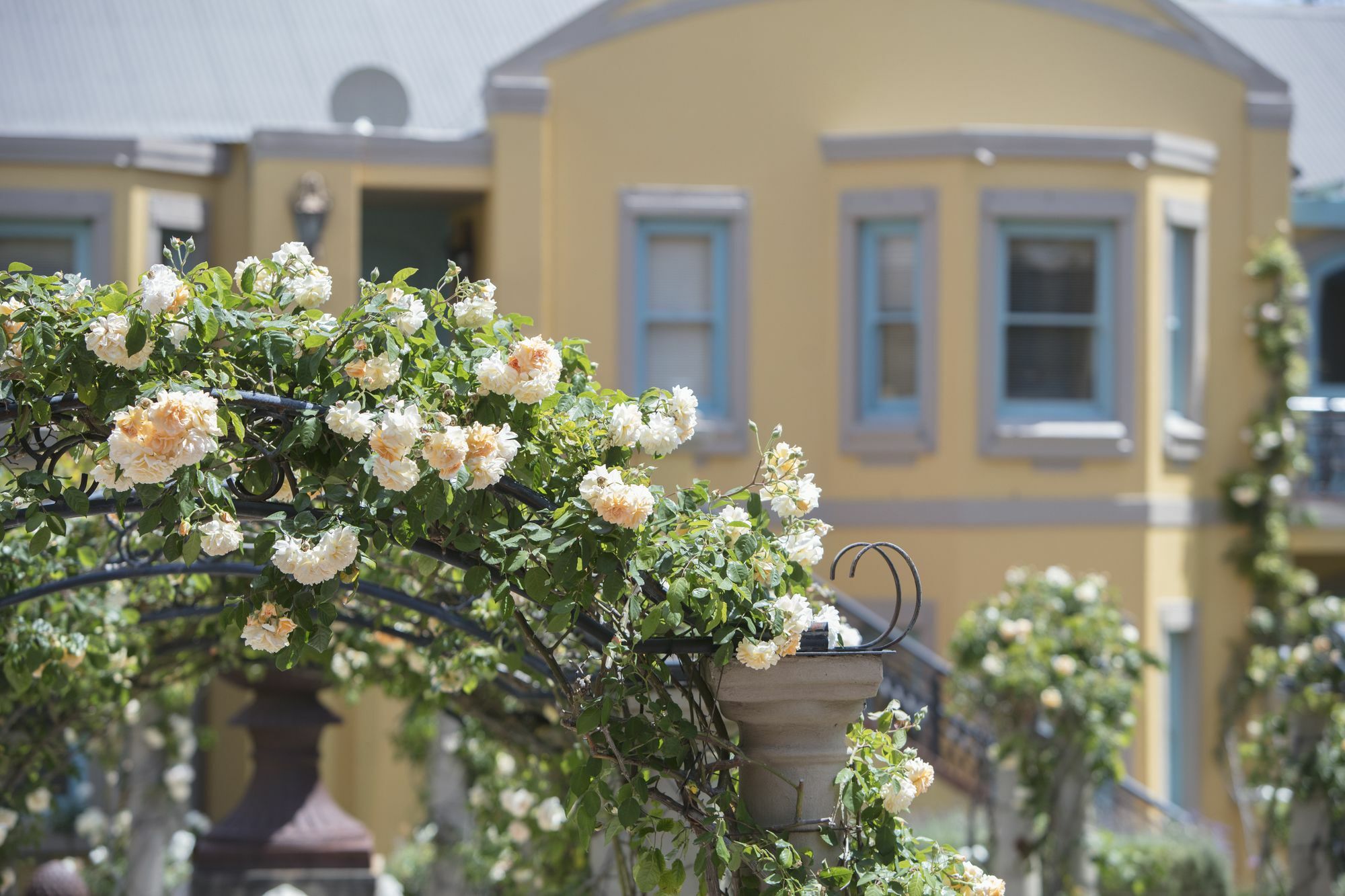 Franschhoek Country House & Villas Dış mekan fotoğraf