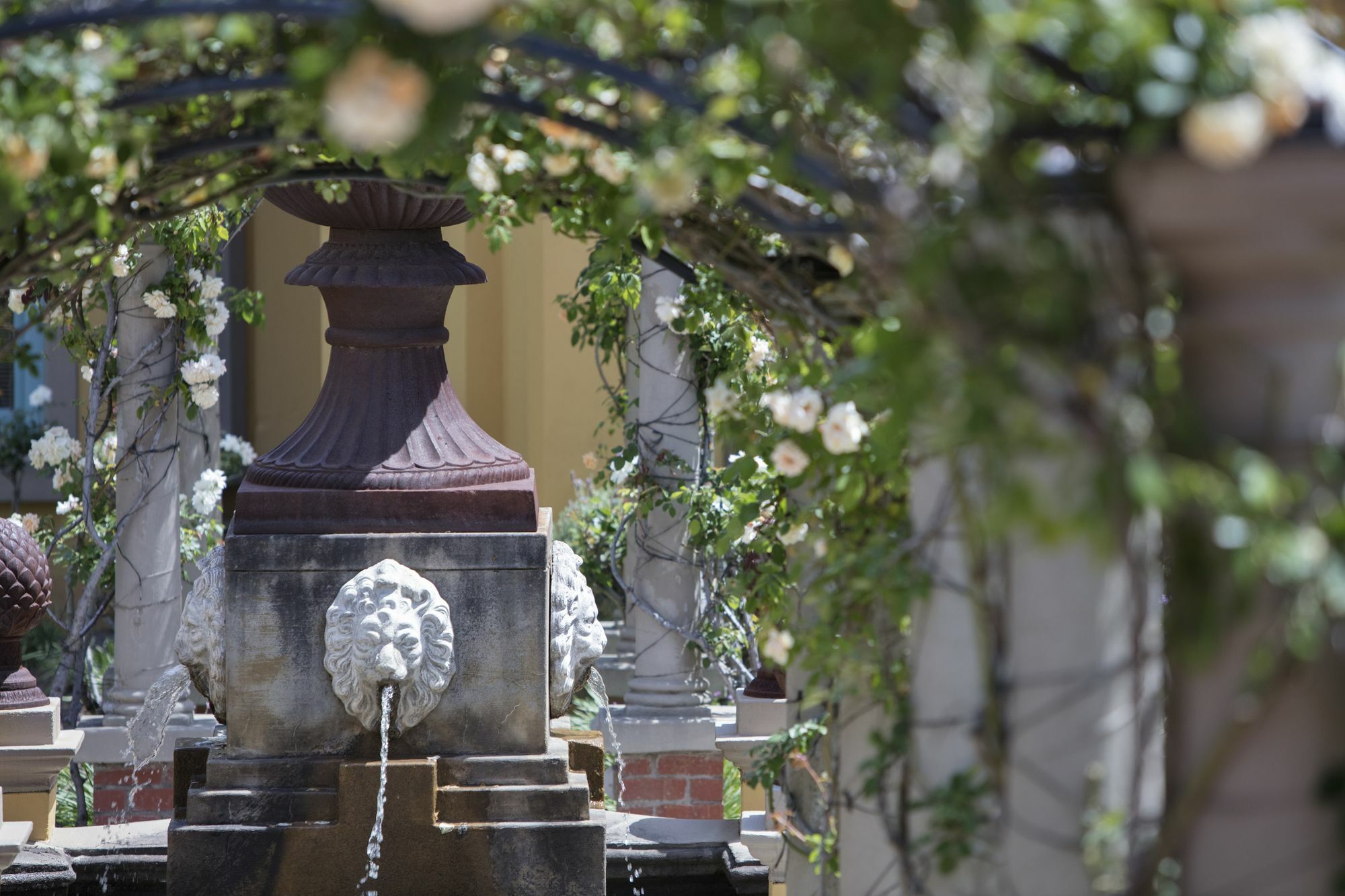 Franschhoek Country House & Villas Dış mekan fotoğraf